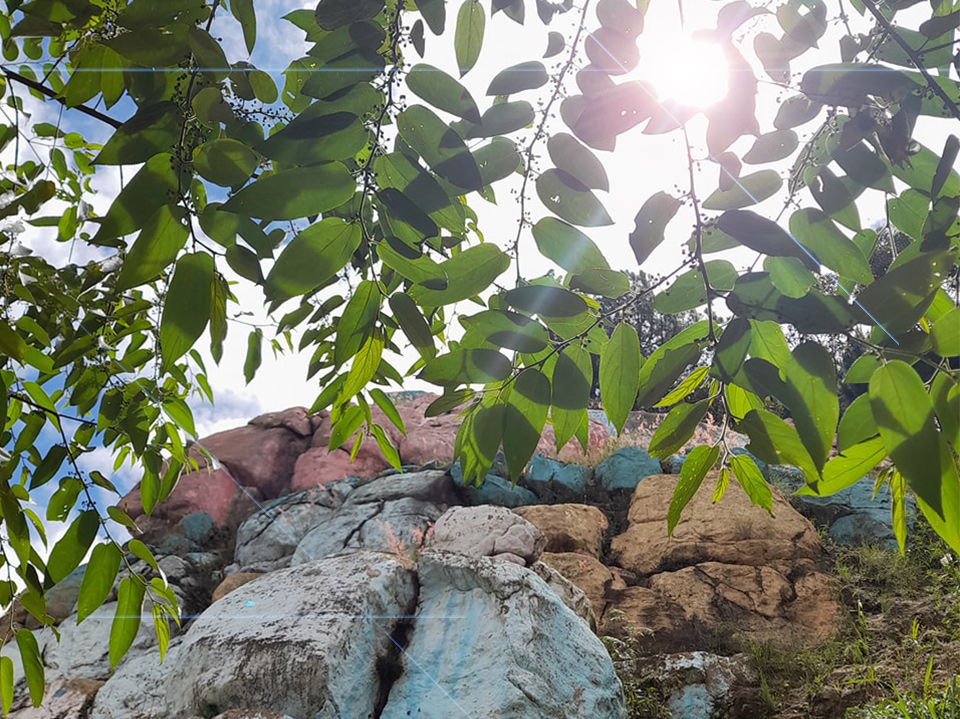 488267647_538055975993857_6774771716417810926_n